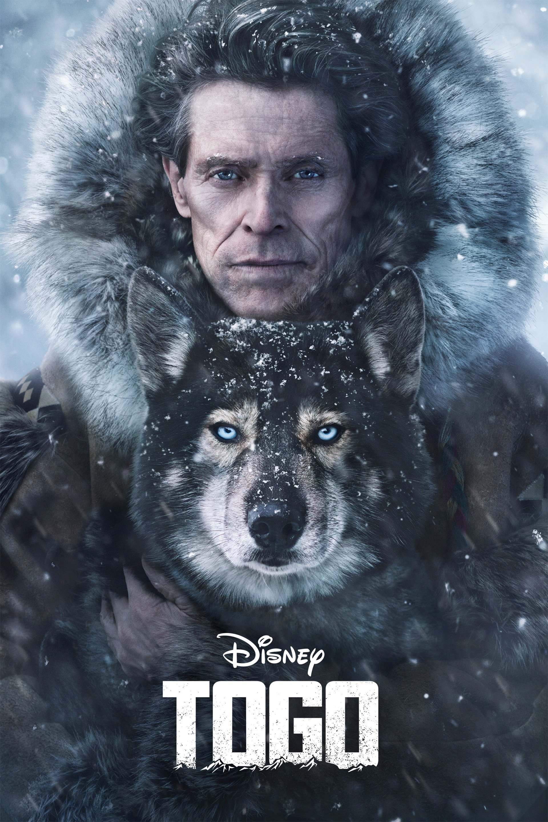 Togo (2019) [288640] (A1708528894) [[Movies]] --Plex--